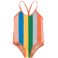 Multicolors Stripes Swimsuit
